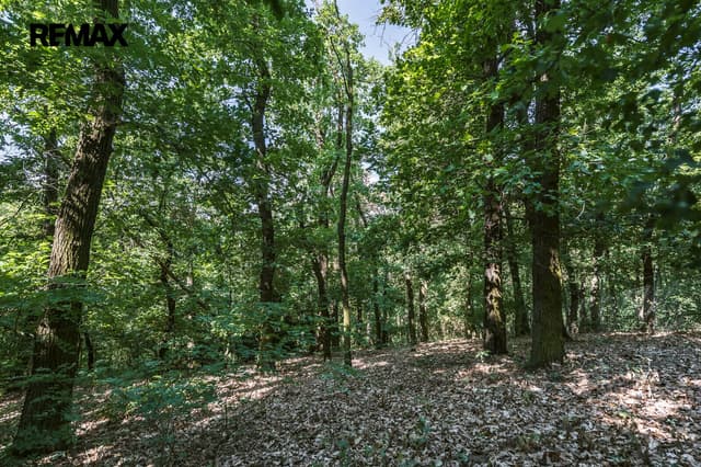 Prodej chaty, 24 m2, Zdiby